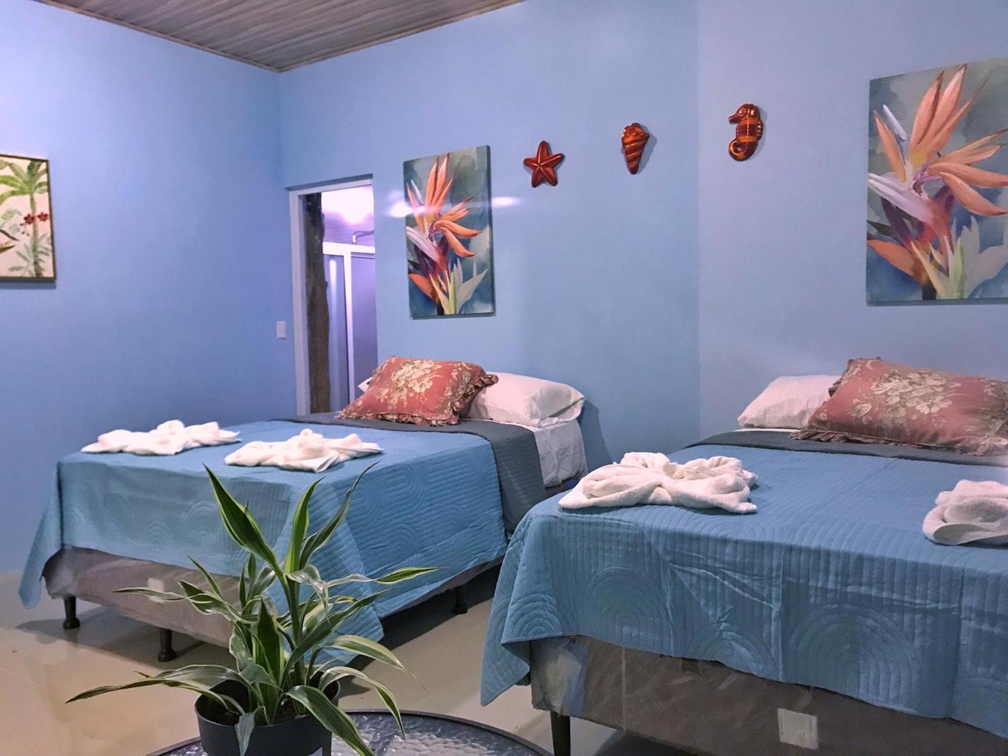 Hotel Ebenezer El Paredon El Paredón Buena Vista 外观 照片